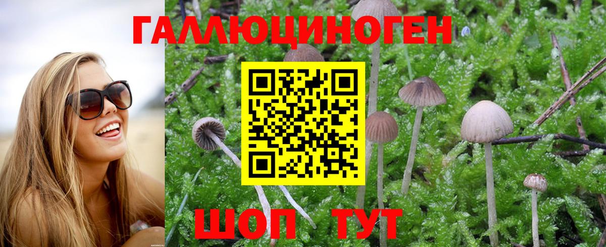 Галлюциногенные грибы MAGIC MUSHROOMS  Вход с VPN  Егорьевск  Псилоцибиновые грибы мицелий 