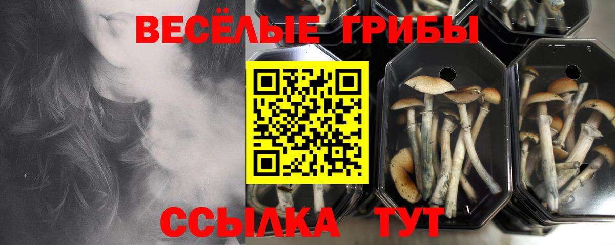 Псилоцибиновые грибы Magic Shrooms Егорьевск